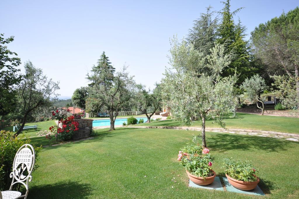 Villa Caterina Monte San Savino Exterior foto